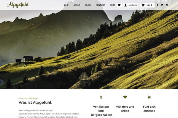 WordPress website example screenshot