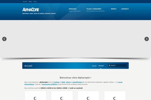 WordPress website example screenshot