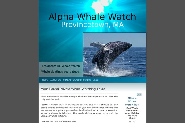 alphawhalewatch.com site used Awtheme