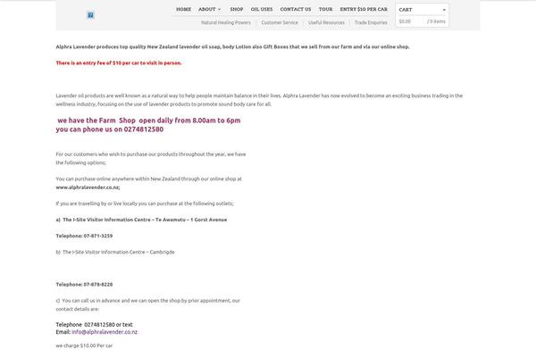 WordPress website example screenshot