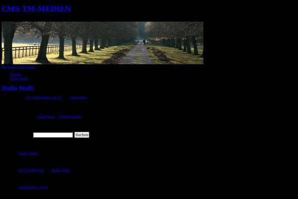 WordPress website example screenshot