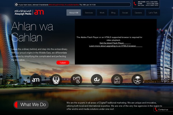 am2 theme websites examples