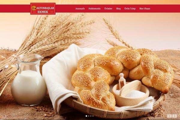 altunbaslar.net site used Altunbas