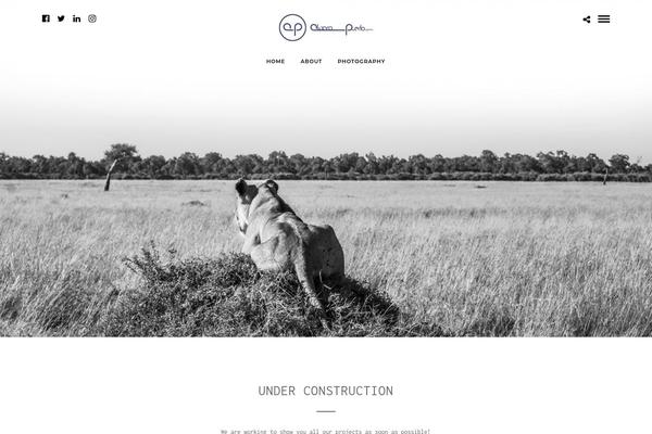 Photography theme site design template sample