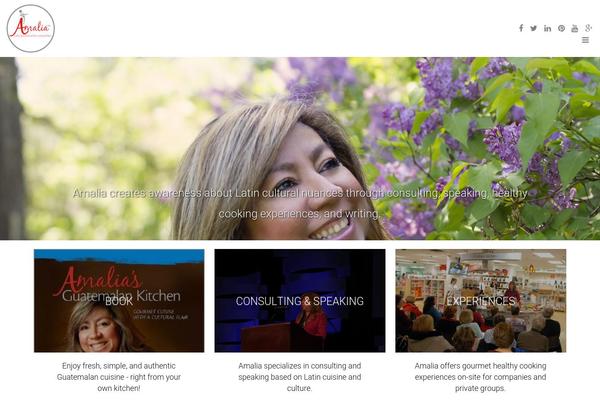 amaliallc.com site used Amalia