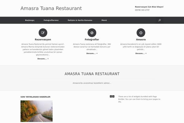 Vantage theme site design template sample