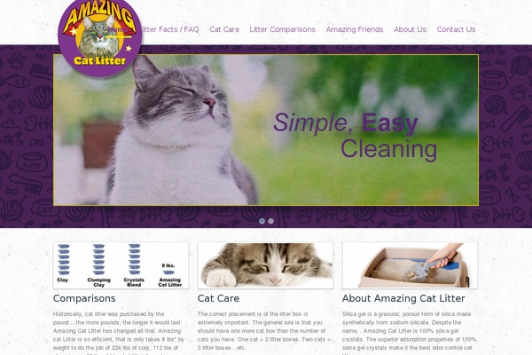 Simplicity theme site design template sample