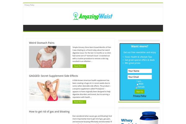 Sahifa theme site design template sample
