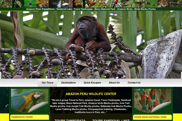 amazon-travels.com site used Vicmac-theme