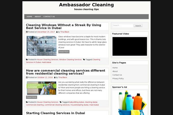 CleanWP theme site design template sample