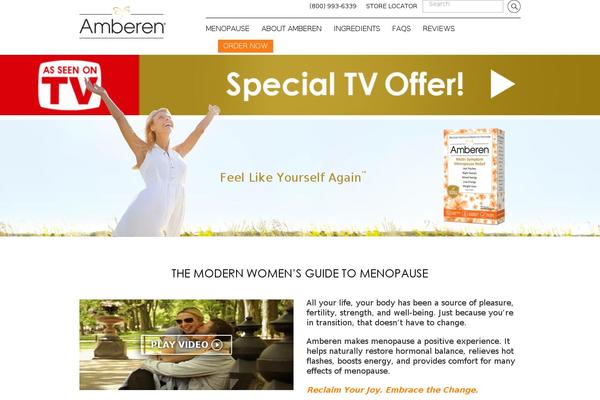 amberen theme websites examples