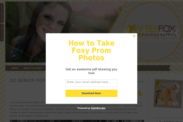 ProPhoto 5 theme site design template sample