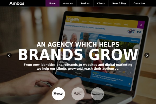 Site using Autoptimize plugin