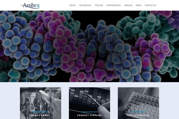 ambrx.com site used Ambrx