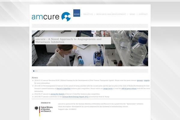 amcure.com site used Rttheme7
