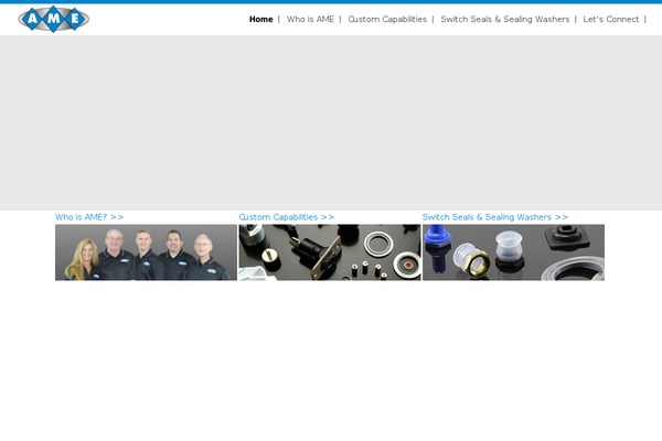 AME theme websites examples