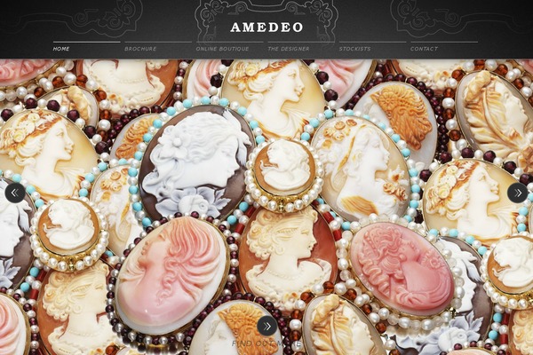 Amedeo theme websites examples