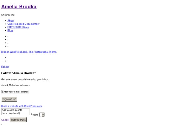 WordPress website example screenshot
