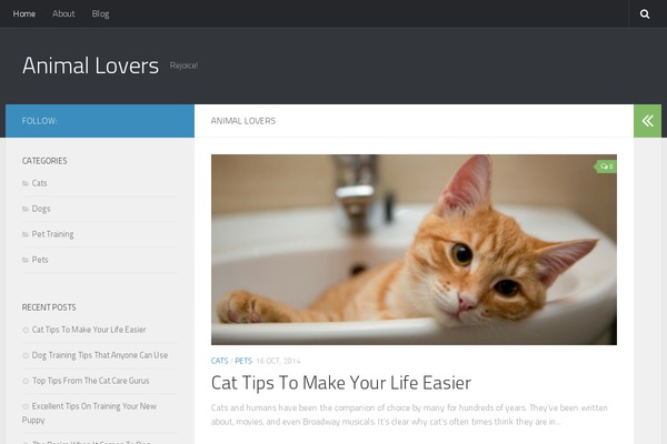 Hueman theme site design template sample