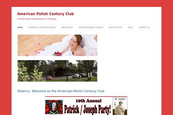 Site using Category Posts Widget plugin