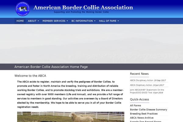 americanbordercollie.org site used Abca-child