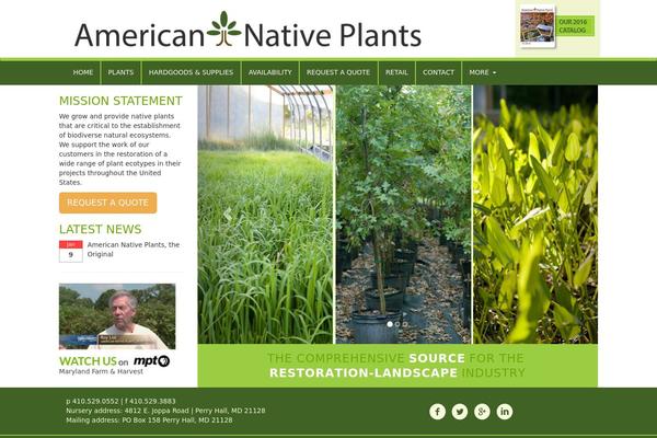 Anp theme site design template sample