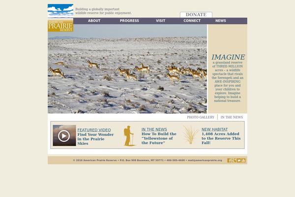 APF theme websites examples