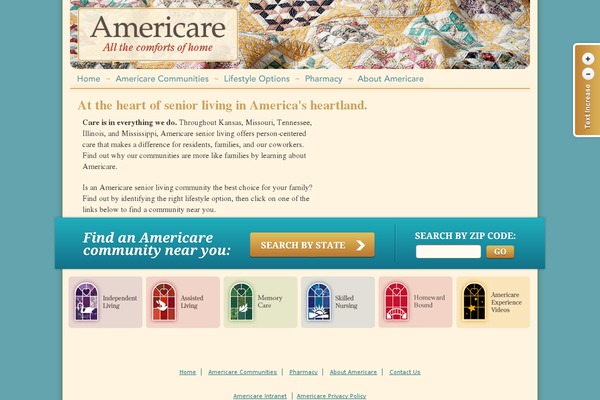 AmeriCare theme websites examples