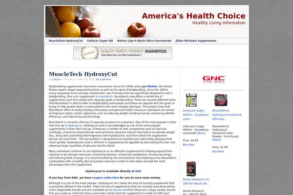 WordPress website example screenshot