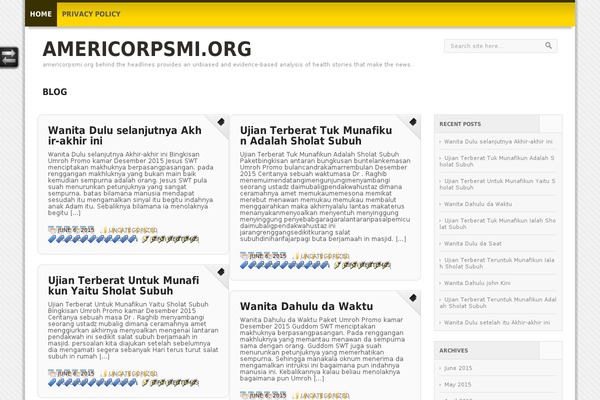 WordPress website example screenshot