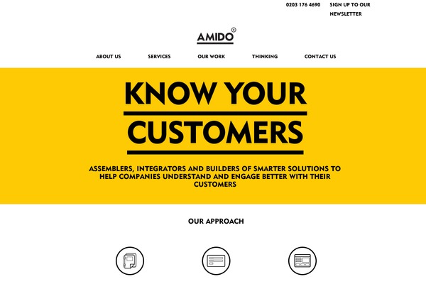 amido.com site used Firmnesspro