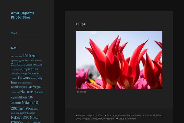 Twenty Fifteen theme site design template sample