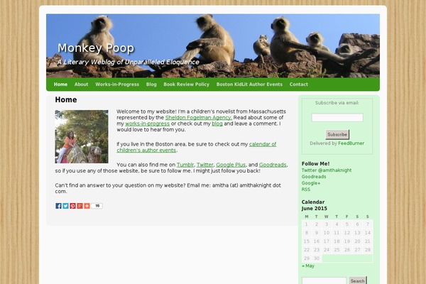 WordPress website example screenshot