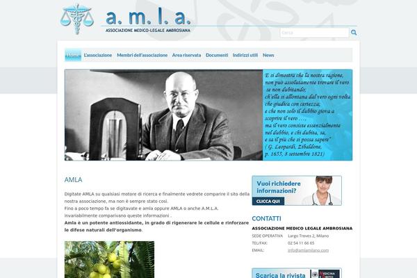 amla theme websites examples