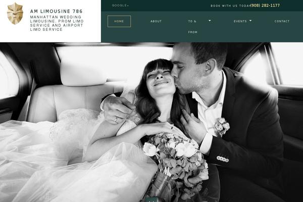 limo2 theme websites examples