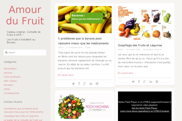amourdufruit.com site used Smoothie