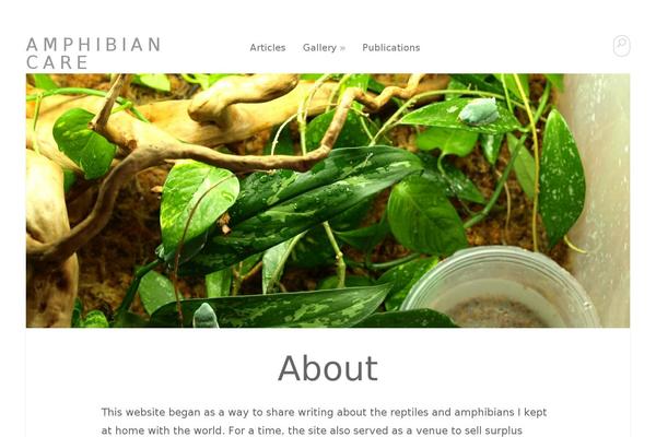 Nirvana-nolink theme site design template sample