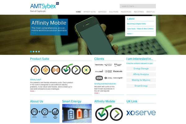amt-sybex.com site used Amt