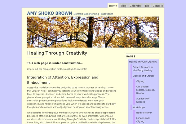 amyshokobrown.com site used Shoko