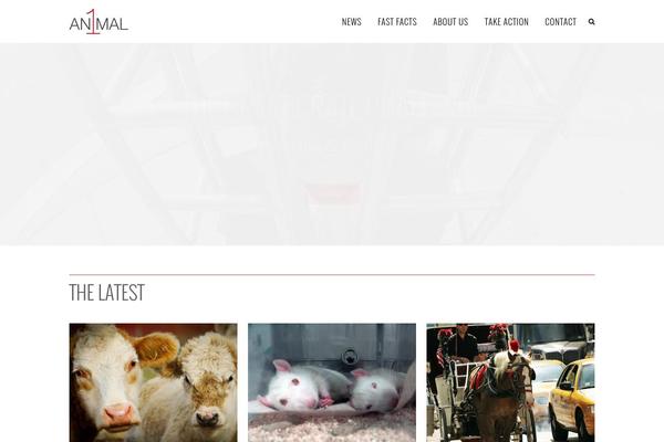 Bridge theme site design template sample