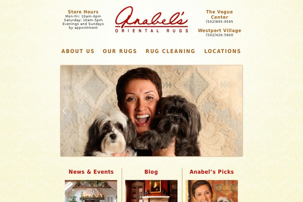 Anabel theme websites examples