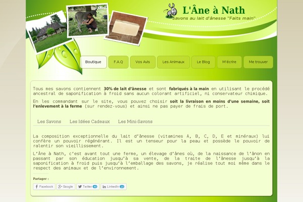 ananath.fr site used Mere_nature