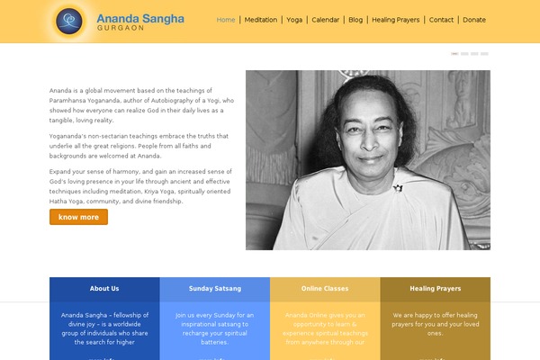 anandagurgaon.org site used Tint