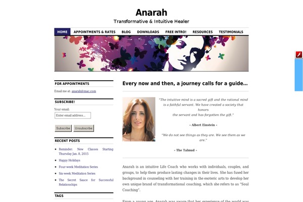 WordPress website example screenshot