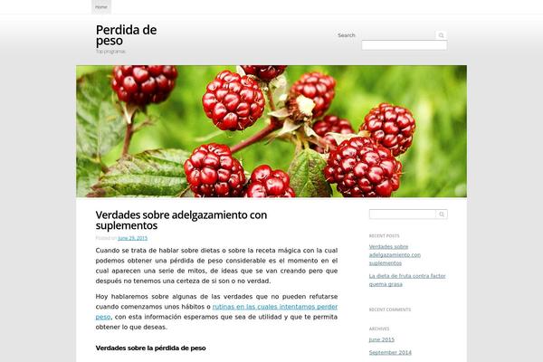 Snowberry theme site design template sample