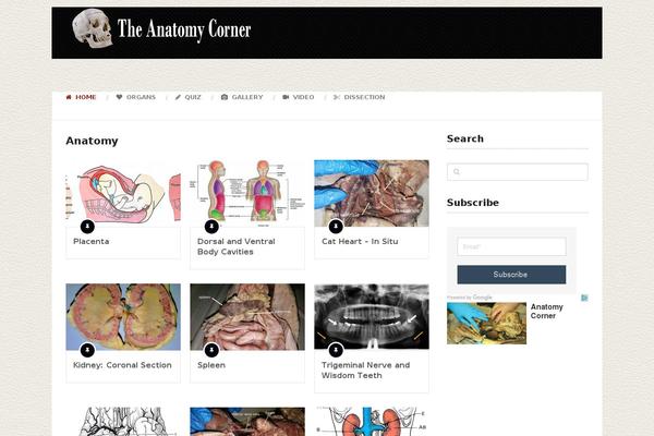 anatomycorner.com site used Mts_splash