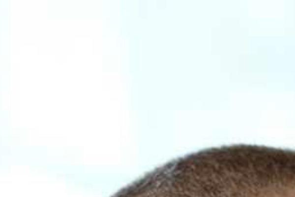 Site using Share Buttons by AddThis plugin
