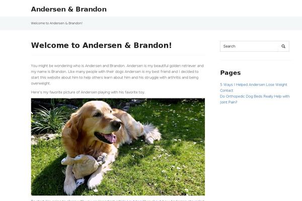 WordPress website example screenshot