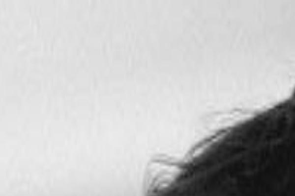 Twenty Twelve theme site design template sample