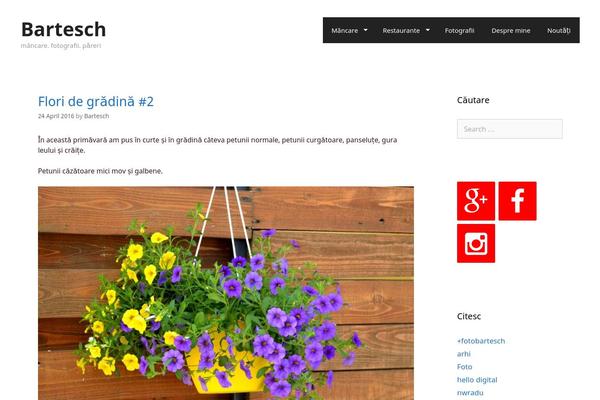 Site using All in One SEO Pack plugin